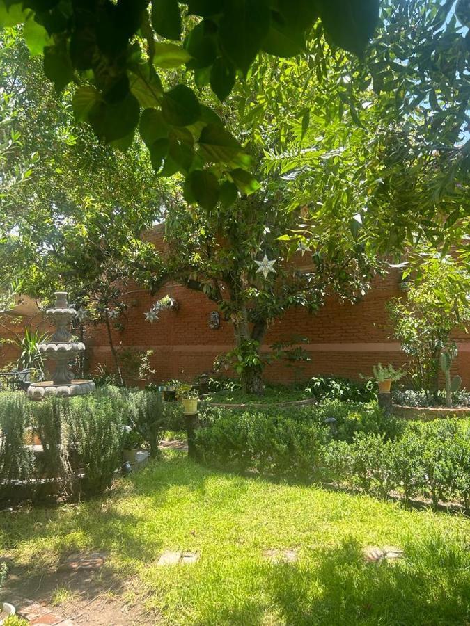Casa Matia Bed And Breakfast San Miguel de Allende Exteriör bild