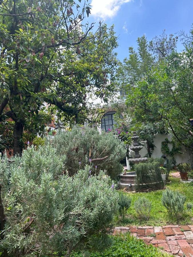 Casa Matia Bed And Breakfast San Miguel de Allende Exteriör bild